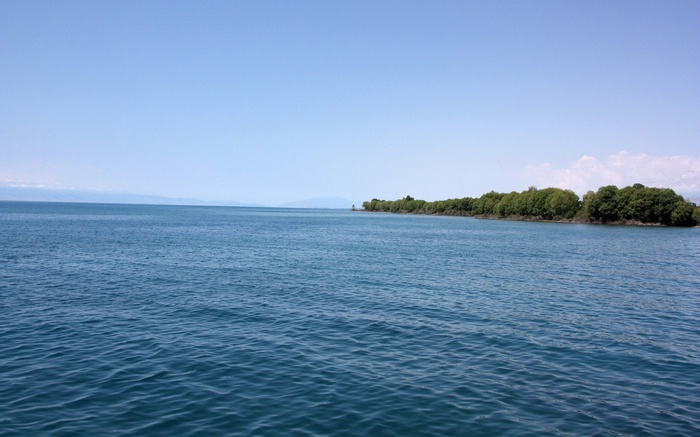 Blue lake with trees on the shore