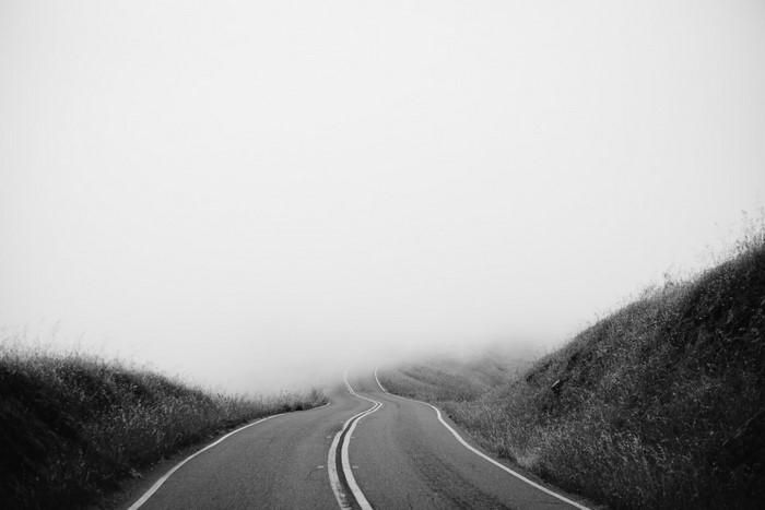 Winding road through fog and grass
