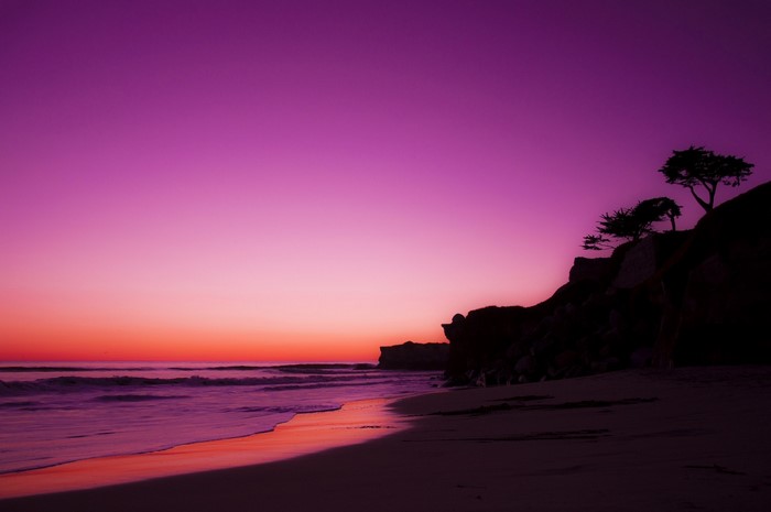Purple and orange sunset over a beach with trees on a cliff