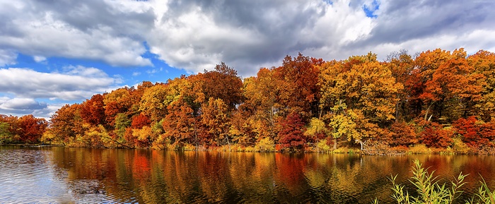 Lake and forest in autumn colors