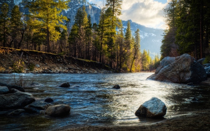 River flowing through a forest with mountains in the background