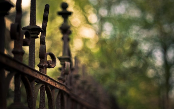 Close-up of a rusty fence with bokeh background