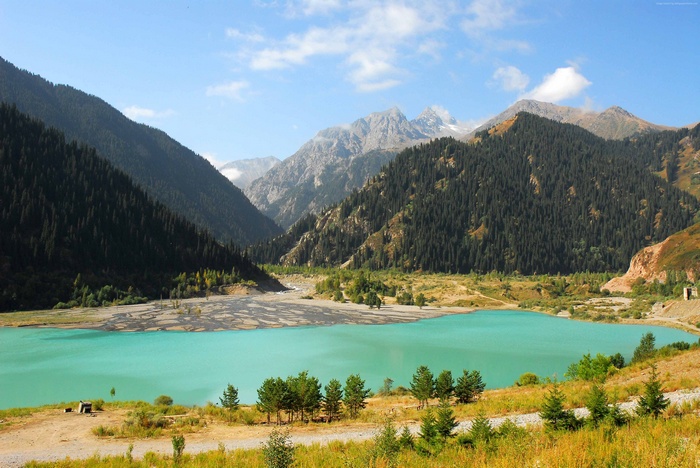 Turquoise lake in a mountain valley with pine forests