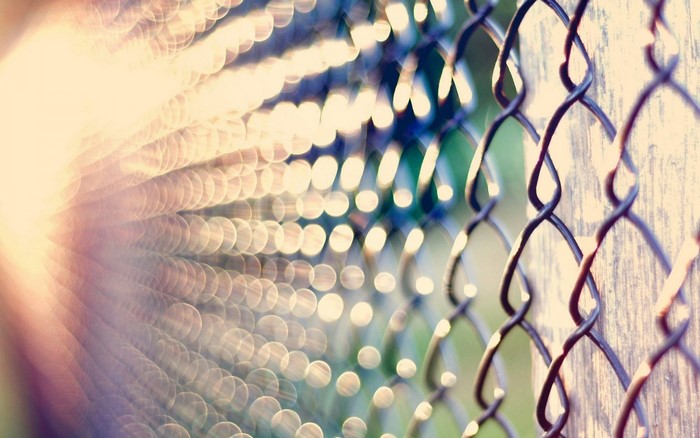 Sunlight Bokeh Through Chain Link Fence