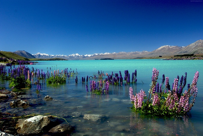 New Zealand, mountains, Lake Tekapo, 4k