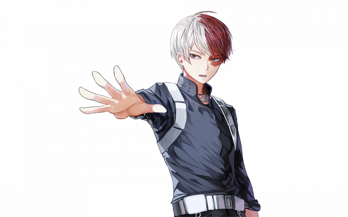 Shoto Todoroki from Boku no Hero Academia