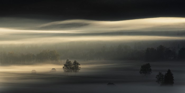 Misty landscape with trees and buildings at dawn