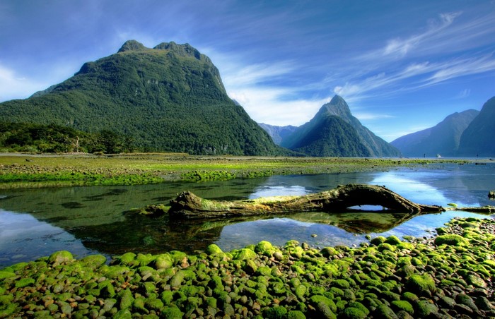 Milford Sound New Zealand Landscape with Mountains and River