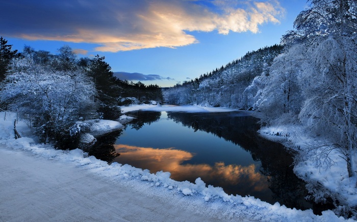 Snowy forest reflecting in a calm lake at sunset