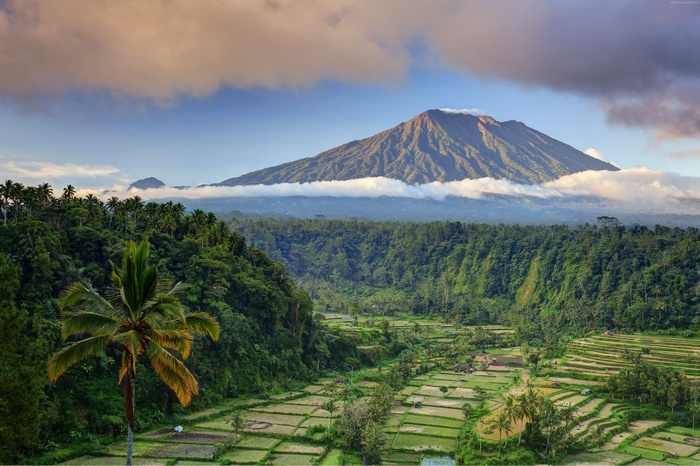 Rice fields and Mount Agung volcano, Bali