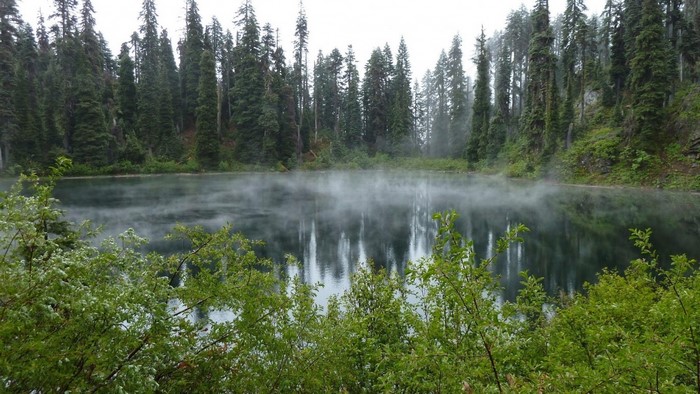 Misty Forest Lake Reflecting Tall Pine Trees