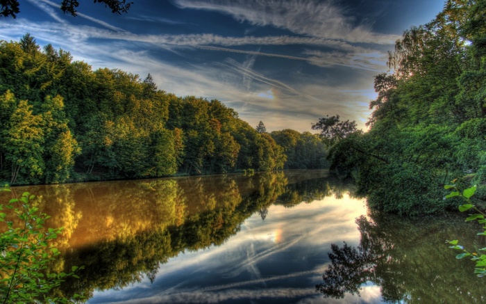 Forest reflecting in a calm lake under a cloudy sky