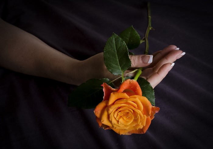 Hand holding an orange rose with green leaves
