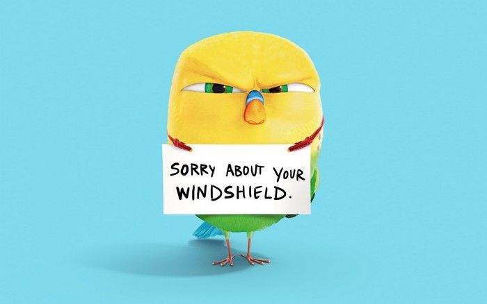 Cartoon budgie holding a sign saying "Sorry About Your Windshield"