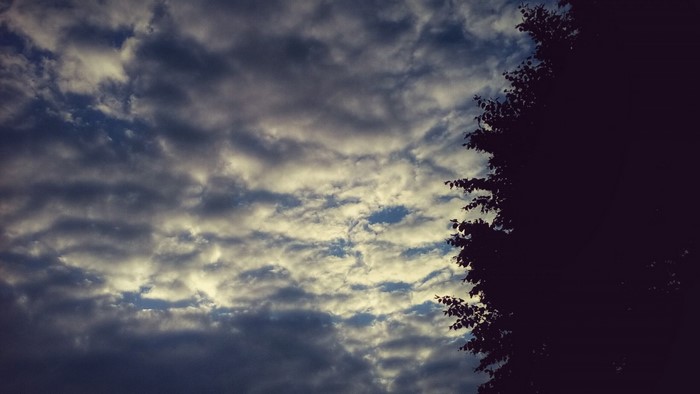 Dark clouds and tree silhouette against the sky