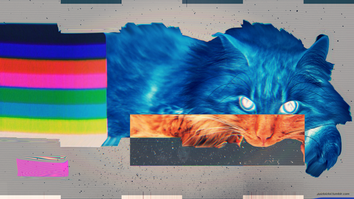 Glitch art cat illustration with colorful bars