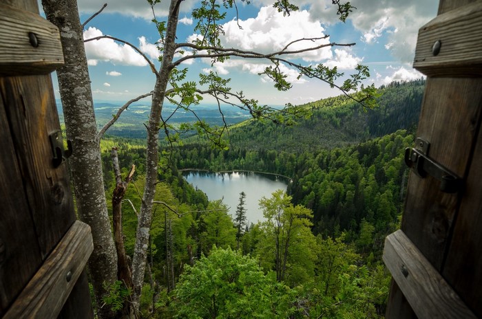 View of a lake through a wooden structure in a forest