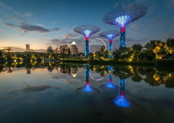 Gardens by the Bay Supertrees at dusk with city skyline reflection