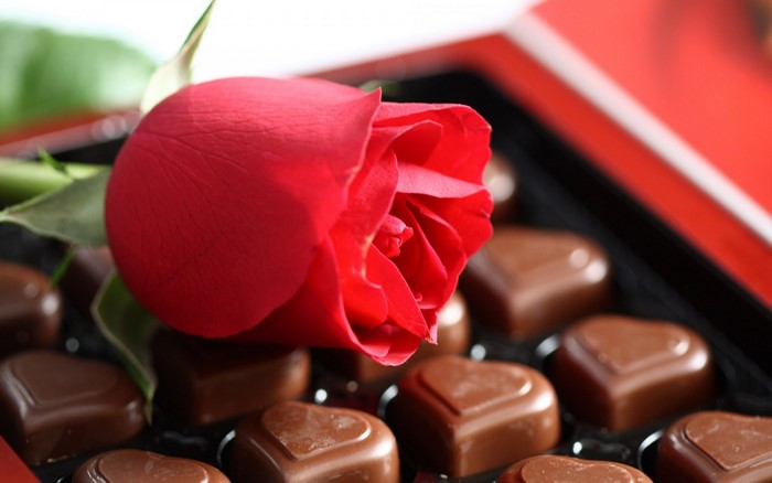 Red rose and heart-shaped chocolates in a box
