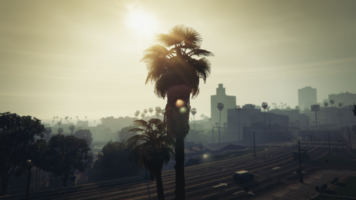 Grand Theft Auto V screenshot with palm trees and city skyline