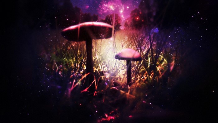 Psychedelic mushrooms in a cosmic forest