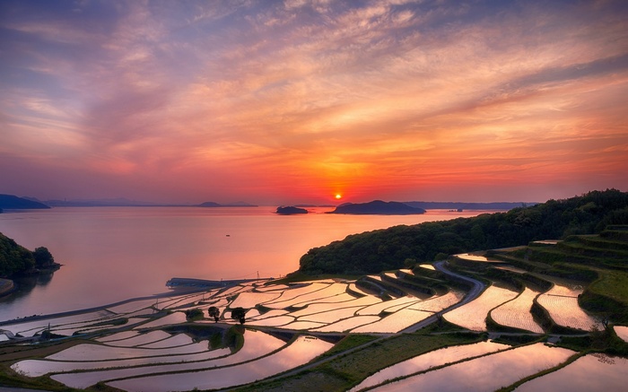 Terraced rice fields at sunset by the sea