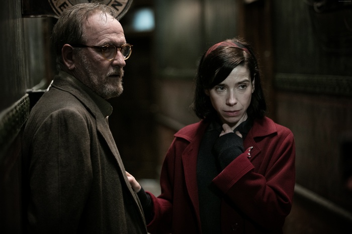 Richard Jenkins and Sally Hawkins from The Shape of Water