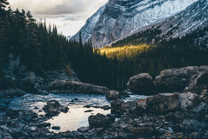 Mountain valley with a river and pine forest