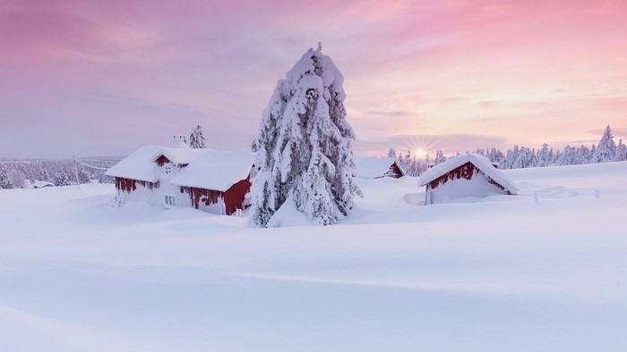 Snow-covered houses and trees in a winter landscape at sunset