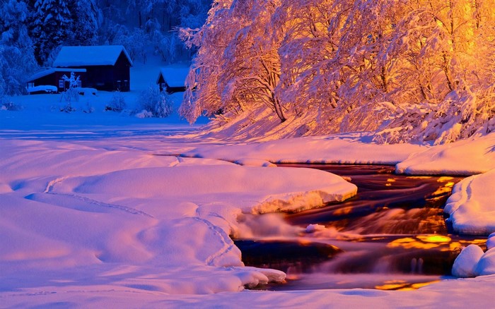 Winter landscape with snow-covered trees and a river at dawn
