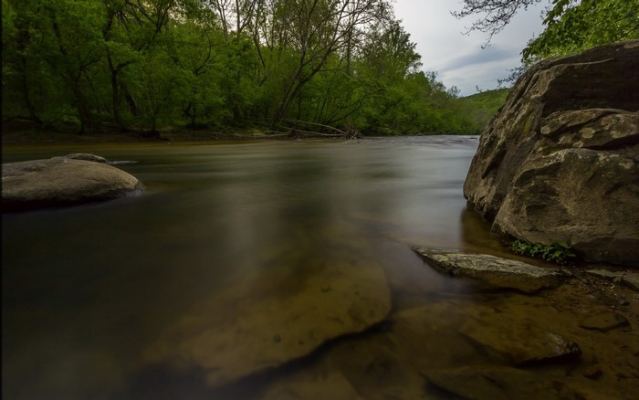 River flowing through a forest with large rocks