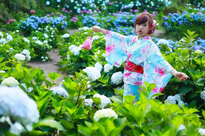 Woman in Kimono in Hydrangea Garden