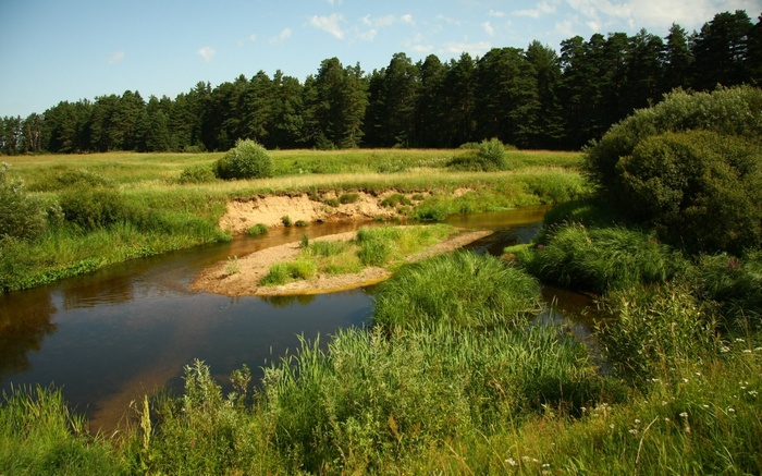 River flowing through a grassy field with a forest in the background