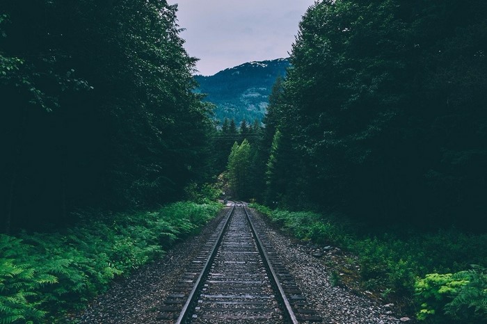 Train tracks through a dark forest towards a mountain
