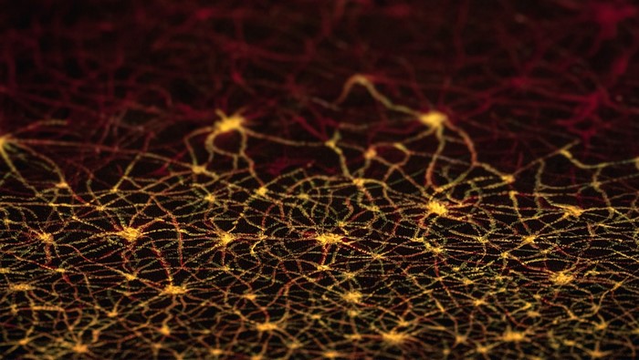 Abstract network of glowing lines and nodes