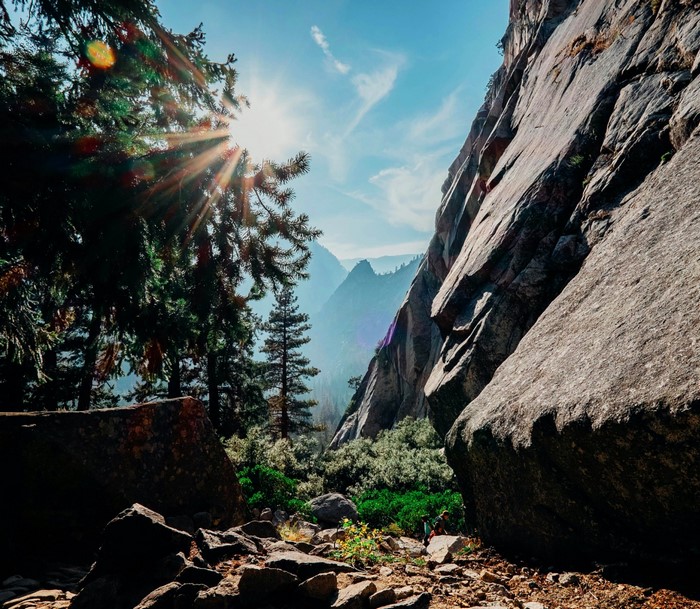 Sunlight through trees in Yosemite National Park valley