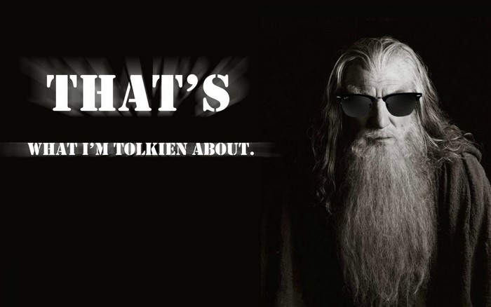 Gandalf from The Lord of the Rings wearing sunglasses