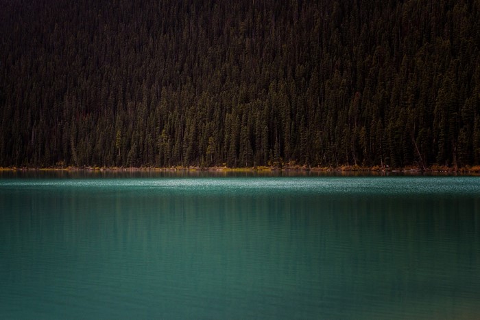 Turquoise lake with dense forest background