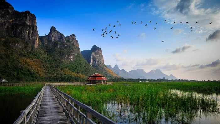 Wooden walkway through a marsh with mountains and birds