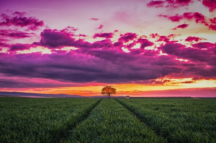 4k field with sunset and clouds