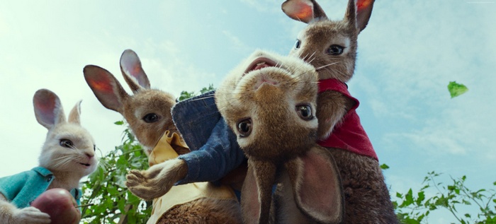 Peter Rabbit and his siblings