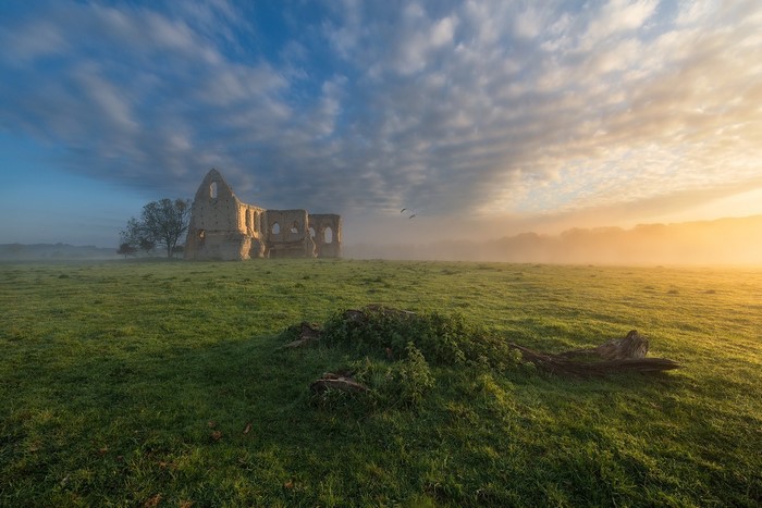 Ruins in a misty field at sunrise with birds flying