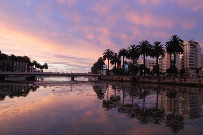 Sunset over a river with palm trees and buildings in Vina del Mar, Chile