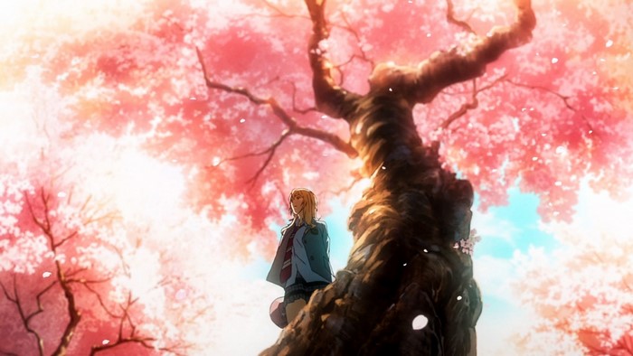 Kaori Miyazono from Shigatsu wa Kimi no Uso under cherry blossoms