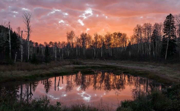 Sunset over a forest pond with reflections