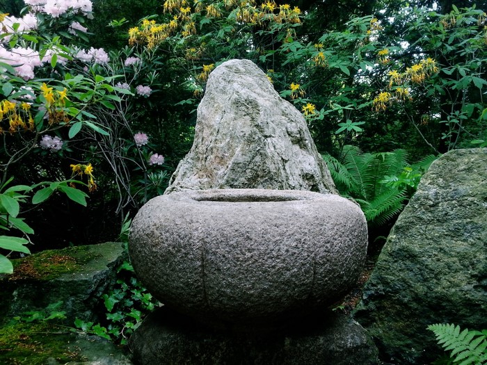 Stone water basin with rock and flowers in a garden