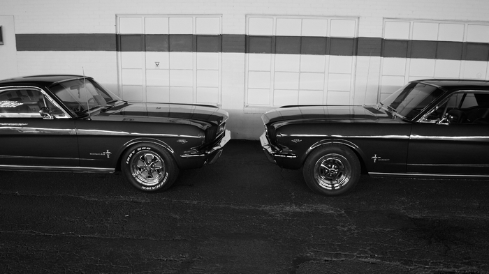 Two Ford Mustangs facing each other