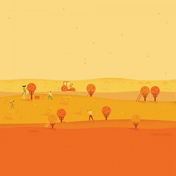 Illustration of a harvest scene with a tractor and farmers