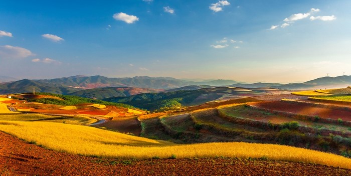 Terraced fields of red earth and yellow flowers in Yunnan, China