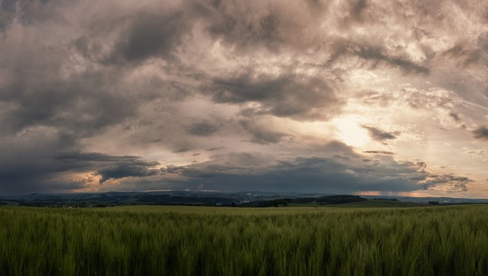 Stormy clouds over a green field at sunset